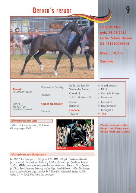 Fohlenauktion Nations cup foals Mannheim - 18. Juli 2015