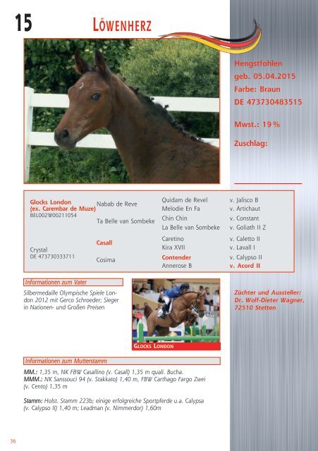 Fohlenauktion Nations cup foals Mannheim - 18. Juli 2015