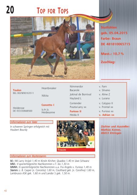 Fohlenauktion Nations cup foals Mannheim - 18. Juli 2015