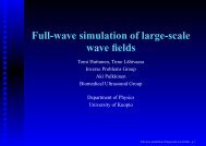 Full-wave simulation of large-scale wave fields - CSC