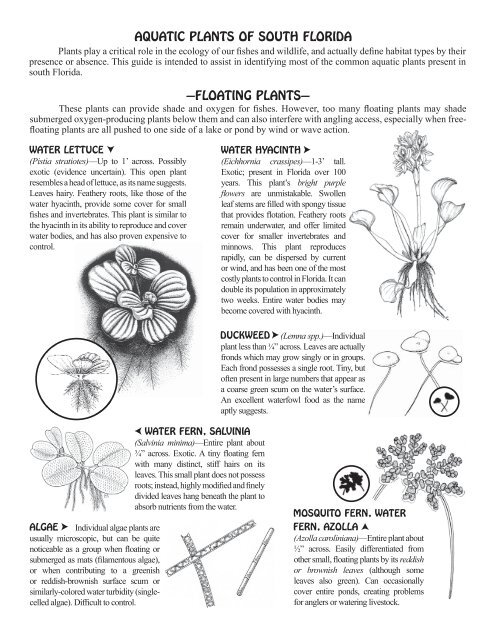 Aquatic Plant Identifier Indd Florida Fish And Wildlife Conservation Aquatic Plant Identifier Indd Florida Fish And Wildlife Conservation