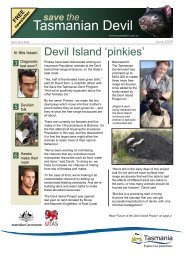 FREE - Save the Tasmanian Devil