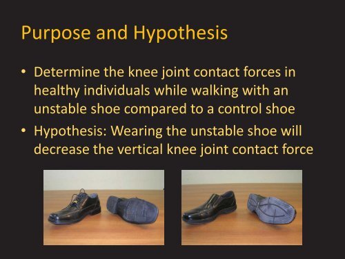 The Effect of Unstable Shoes on Knee Joint Reaction Forces