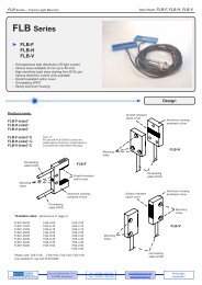 FLB Series - Pulsotronic GmbH & Co. KG