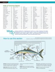 Fish Identification Section of Fishing Lines - Tampa Bay Water Atlas