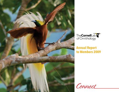 Annual Report to Members 2009 - Cornell Lab of Ornithology