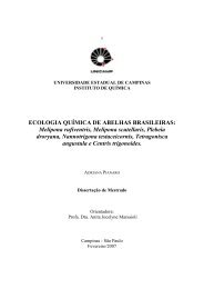 ECOLOGIA QUÃMICA DE ABELHAS BRASILEIRAS: Melipona ...