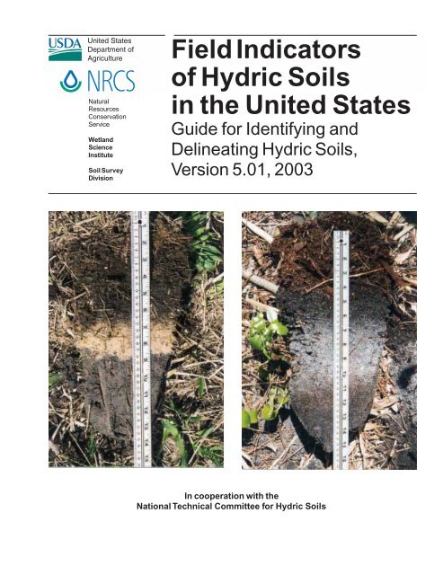 Field Indicators of Hydric Soils in the United States - ITC