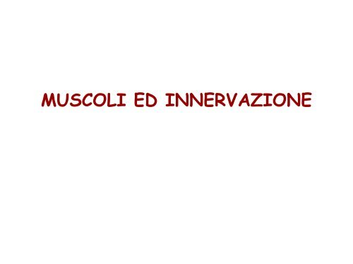 2010-11 Tdr II-0 la contrazione muscolare - Fisioterapia-Pavia