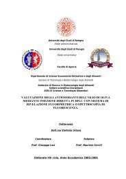 Documento PDF - Benvenuto su AMS Tesi di Dottorato - AlmaDL ...