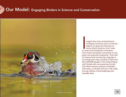 AnnuAl RepoRt to membeRs | 2012 - Cornell Lab of Ornithology