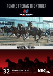 Program - Dalatravet