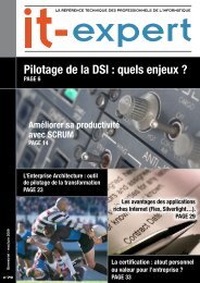 Pilotage de la DSI : quels enjeux ? - IT-expert