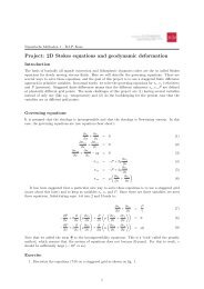 Project: 2D Stokes equations and geodynamic deformation