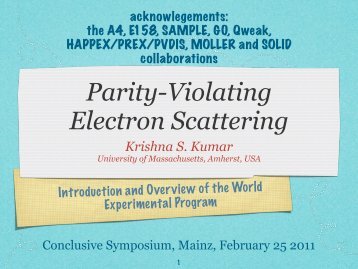 Parity violating Electron Scattering