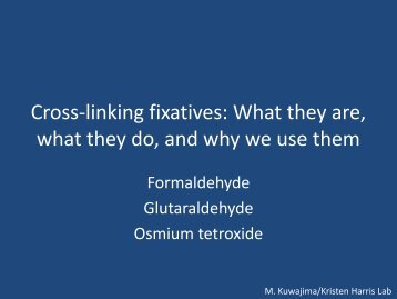 Cross-linking fixatives: What they are, what they do, and why we use ...