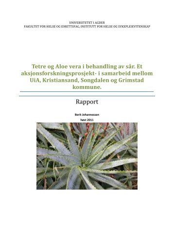 Rapport fra aksjonsforskningsprosjektet om tetre og aloe vera i ...