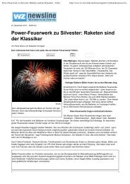 Power-Feuerwerk zu Silvester: Raketen sind der ... - Pyro-Partner