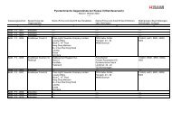 Pyrotechnische Gegenstände der Klasse II ... - Pyro-Partner