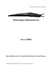 Download whole Malacologica Bohemoslovaca volume 4 (2005)