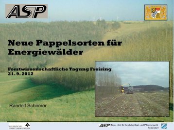 Schirmer_Neue Pappelsorten fÃ¼r EnergiewÃ¤lder.pdf
