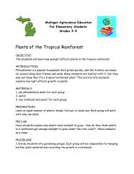 Plants of the Tropical Rain Forest