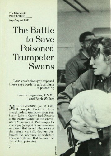 The Battle to Save Poisoned Trumpeter Swans - webapps8