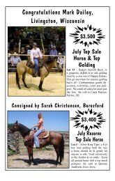 A Few of the July Sale  Highlights -  Corsica Horse Sale