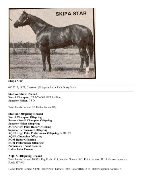 1995 aqha high point amateur