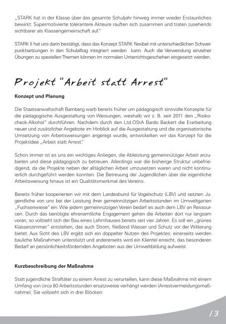 Jahresbericht 2012 - Verein für Jugendhilfe eV