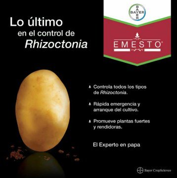 Rhizoctonia - Bayer CropScience Mexico