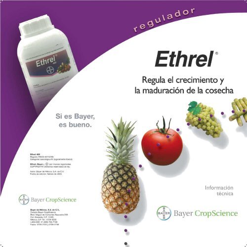 Ethrel - Bayer CropScience Mexico