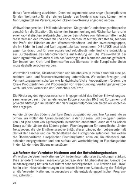 Entwicklungspolitische Leitlinien - Die Linke. im Bundestag