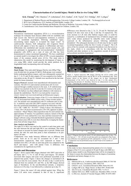 Proceedings of the meeting - Department of Physics - University of ...