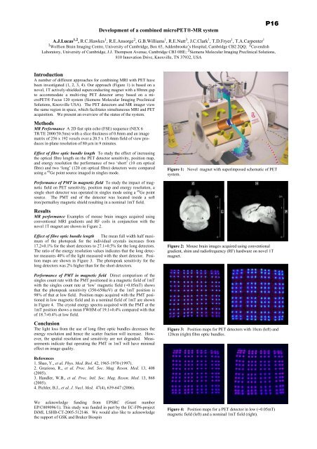 Proceedings of the meeting - Department of Physics - University of ...