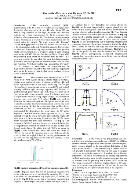 Proceedings of the meeting - Department of Physics - University of ...