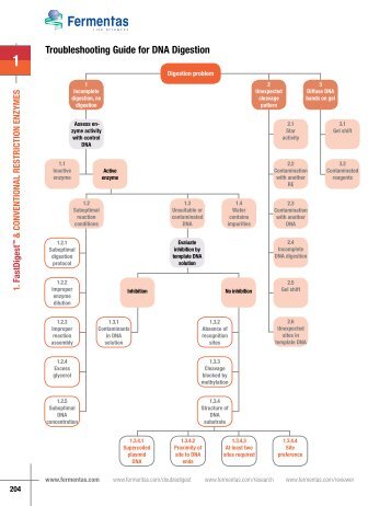 Troubleshooting Guide for DNA Digestion