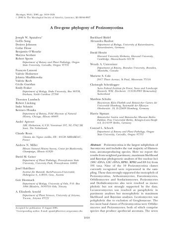A five-gene phylogeny of Pezizomycotina - Mycologia