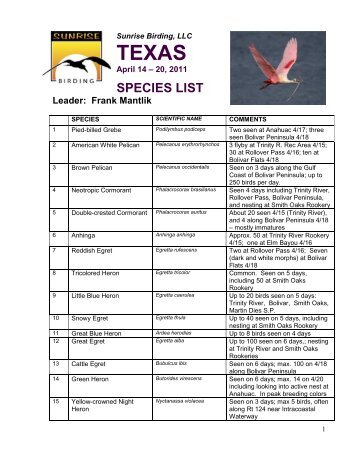 SPECIES LIST (pdf) - Sunrise Birding