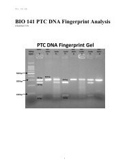 DNA Fingerprint Experiements - Cornell College