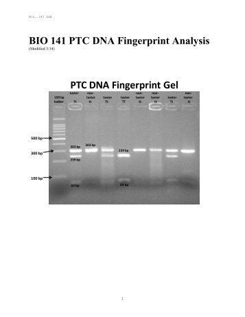 DNA Fingerprint Experiements - Cornell College