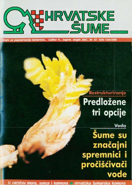 Ljekovita kopriva (Urtica dioica L.) - Hrvatske šume