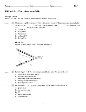 Test on Unit 4 - University City Schools