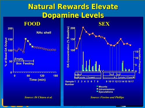 Methamphetamine - UCLA Integrated Substance Abuse Programs