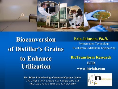 Bioconversion of Distillers Grains to Enhance Utilization