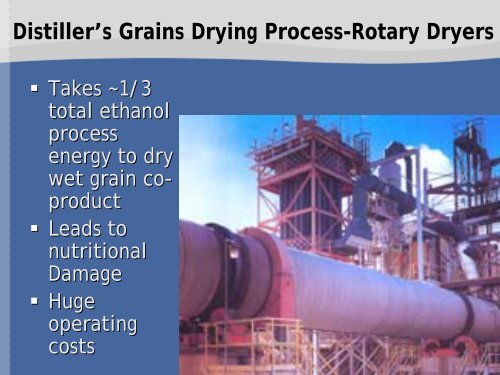 Bioconversion of Distillers Grains to Enhance Utilization