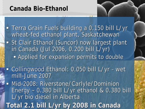 Bioconversion of Distillers Grains to Enhance Utilization