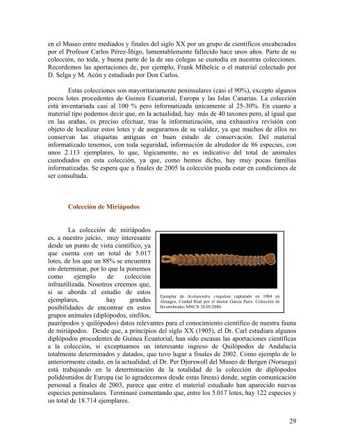 Colecciones de invertebrados - Museo Nacional de Ciencias ...