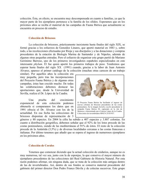 Colecciones de invertebrados - Museo Nacional de Ciencias ...
