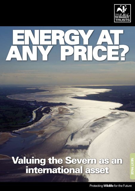 Energy at any price? - Gwent Wildlife Trust